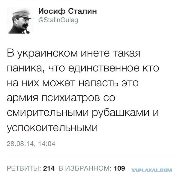 Мы все сошли с ума!