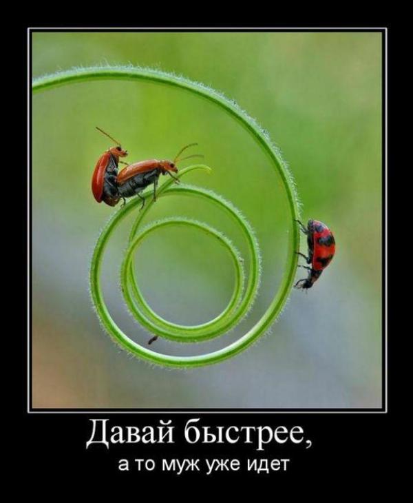 Смешные картинки