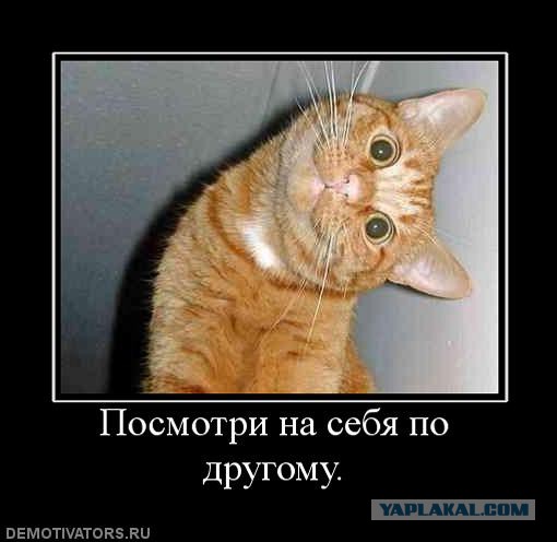 Как дела?