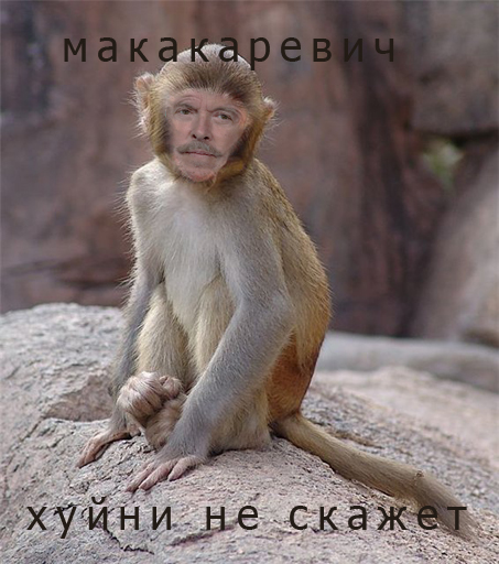 И снова Макаревич...