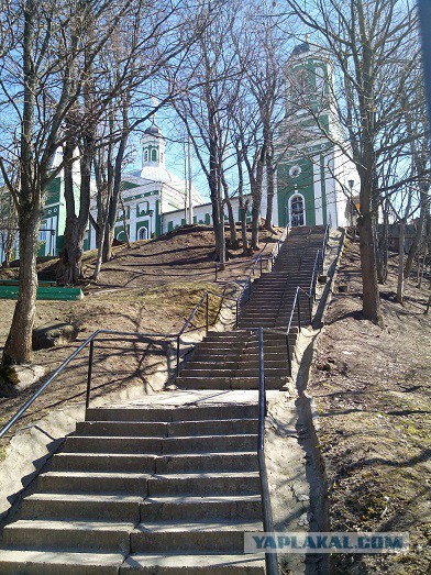 Миграция московского планктона