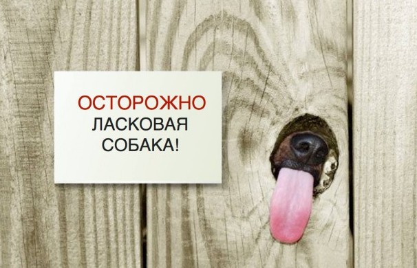 Таблички собачьи