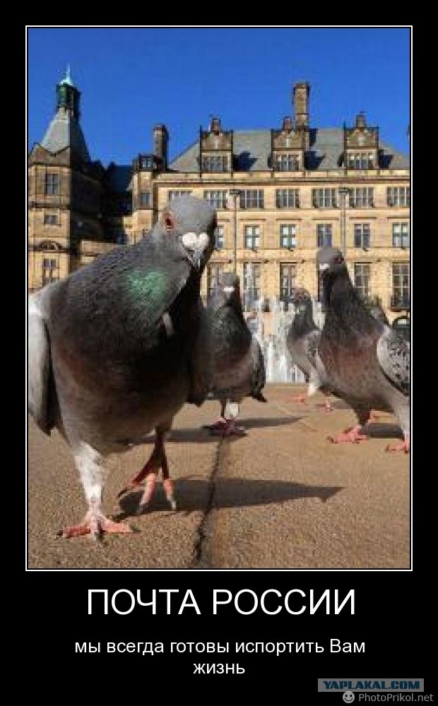 Ну теперь все ясно