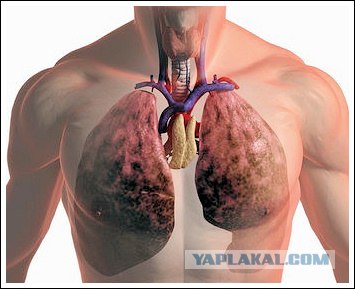 Девушка посидела