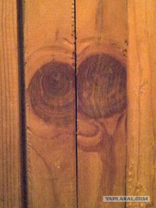 Реинкарнация существует!