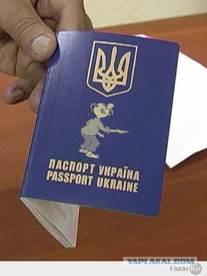 10 политических картинок часть 5