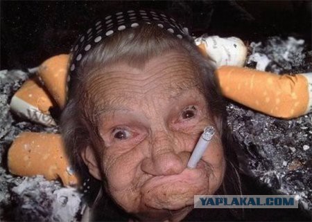 Девчонки дурачатся