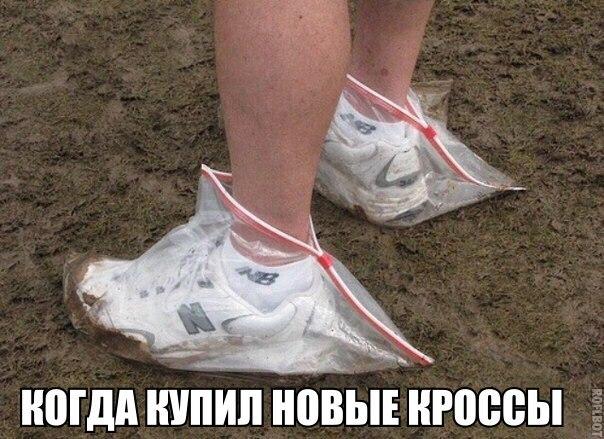 Картинки  из сети