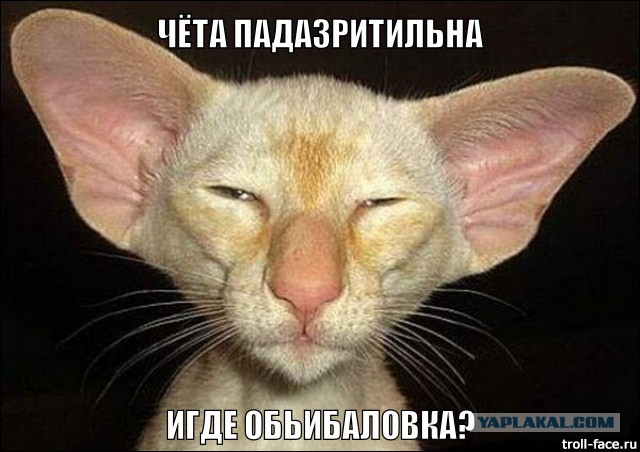 Кто съел сметану?