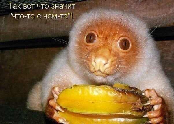 Отовсюду понемногу