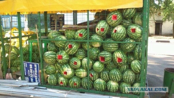 Люди, имейте совесть