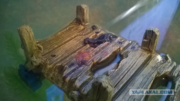 Кормление ящериц яблоком