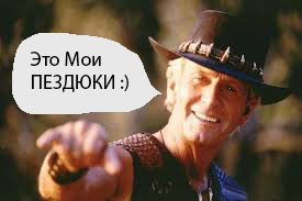 Вот это крабы в Австралии