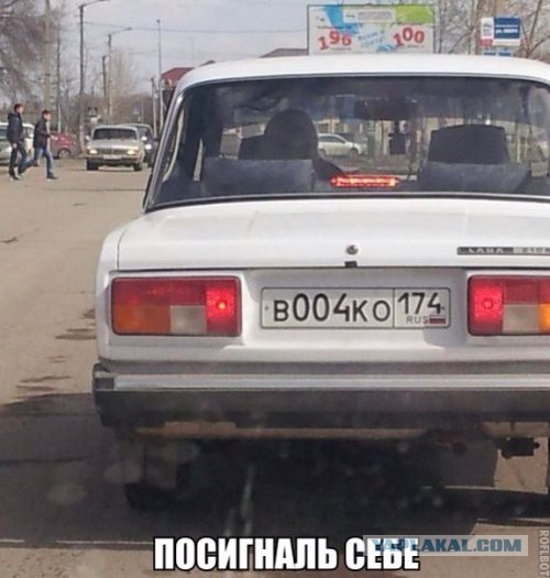 Забавные картинки из сети