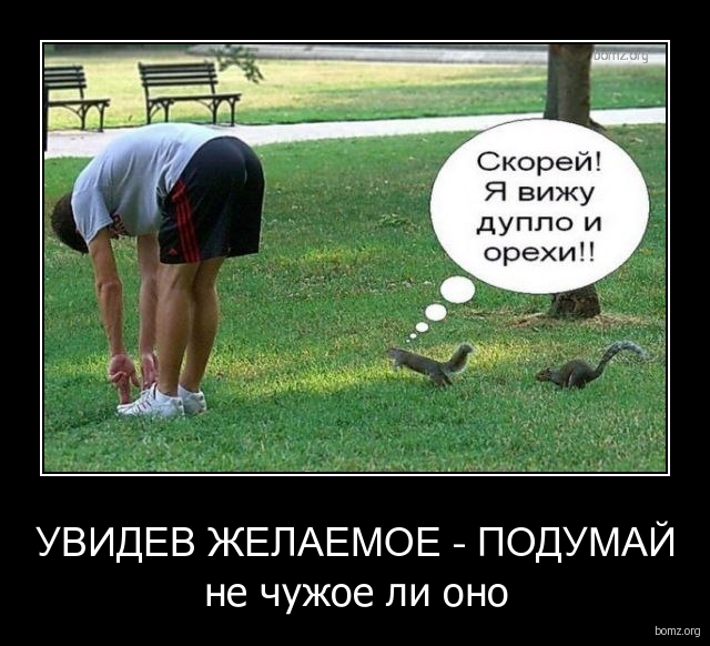 Картинки для поднятия настроения - 4