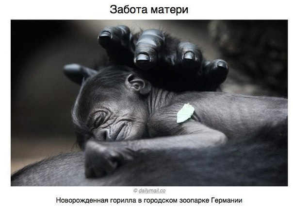 Интересные и веселые картинки