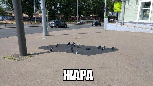 Картинки всякие