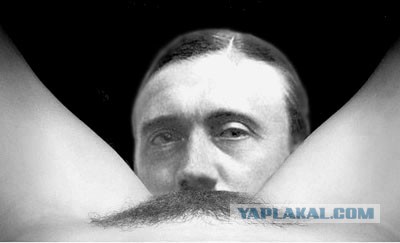 Борода