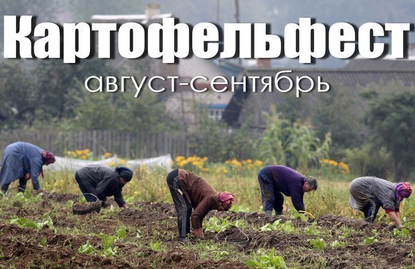 Соцсети - и смех и грех