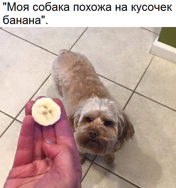 Смехопанорама