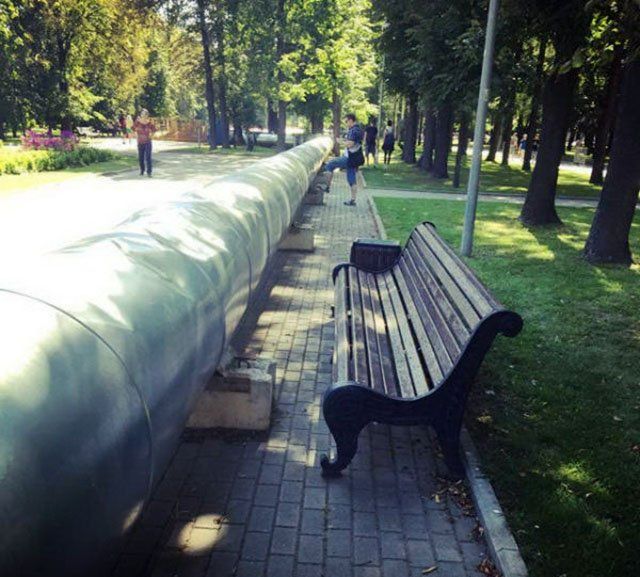 Весёлые картинки