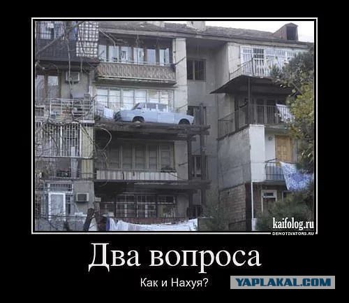 27 фото, на которых происходит непонятно что
