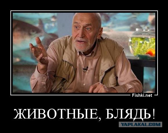 Экстаз, лезгинка, выстрелы. Махачкала. Наши дни