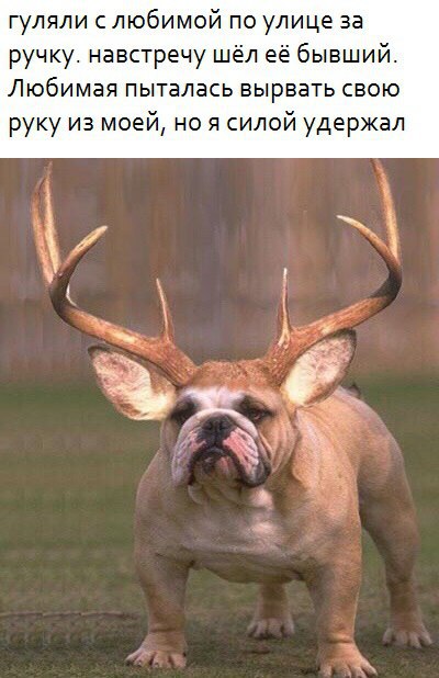 Специфический юмор