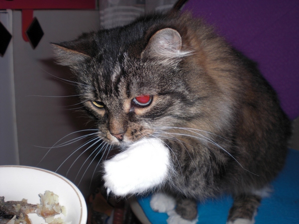 Калбасааааа.