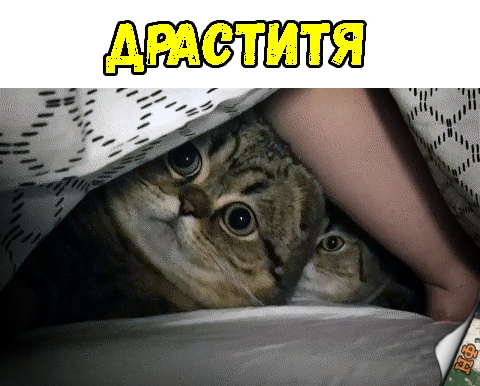 Прикольные картинки абавсём