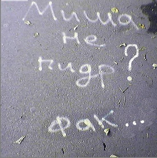 Фотожаба: Это ФАКТ!