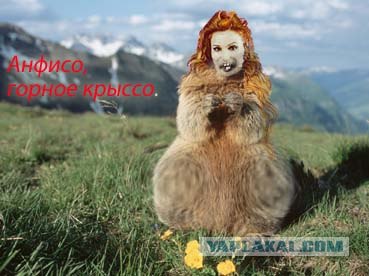 Фотожаба - Анфиса Чехова