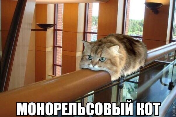 Так себе картинки 14.06.20