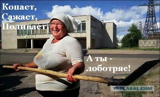 На огороде