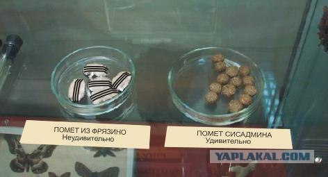 Удивительное рядом