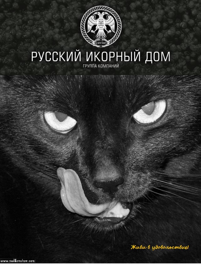 Выиграй 3кг черной икры!