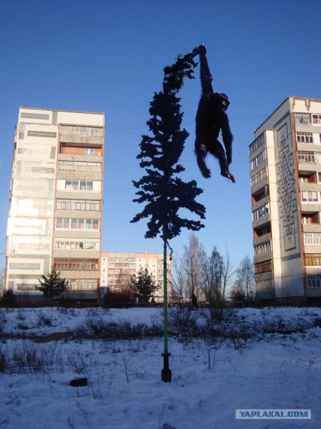 У нас в городе поставили ЙОЛКУ