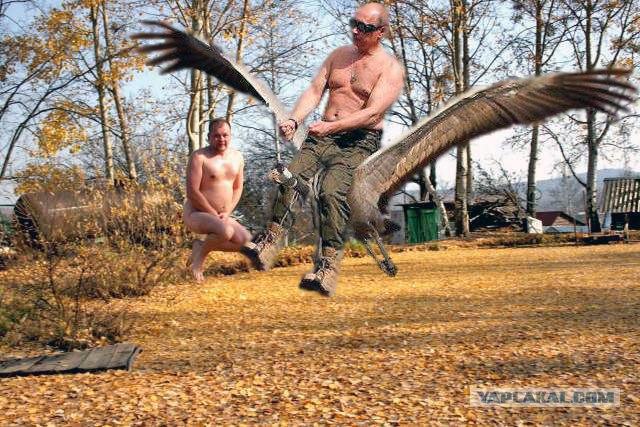 Осень наступила, падают листы