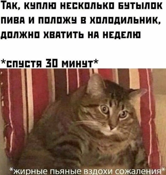 Картинки 11.02