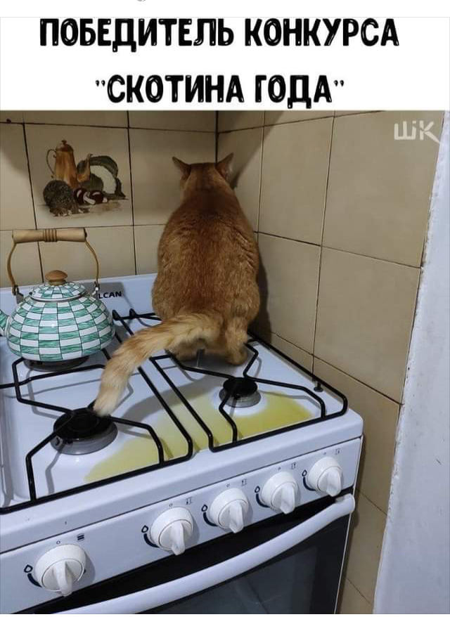 Так себе картинки 13.04.21