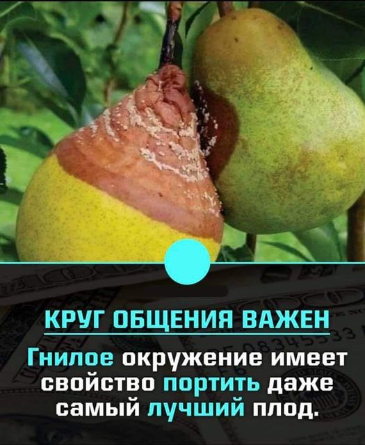 Президент Аргентины заболел коронавирусом после прививки «Спутник V»?