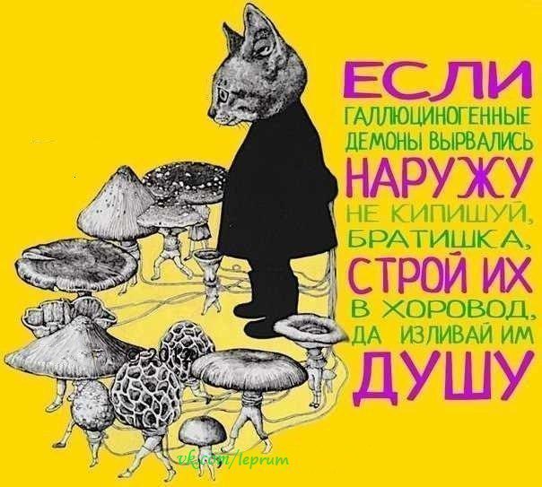 И где?