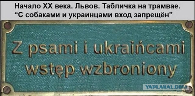 Толерантность