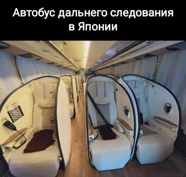 Весёлый полтишок 15.08