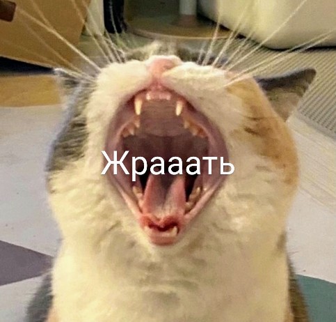 Картинки и мемы 08.10.2021
