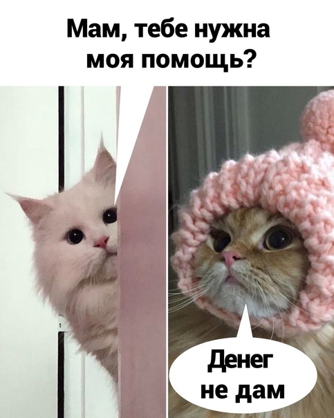 Картинки и мемы, всем прекрасных выходных