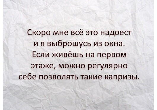 Весёлый полтишок 19.11.2021
