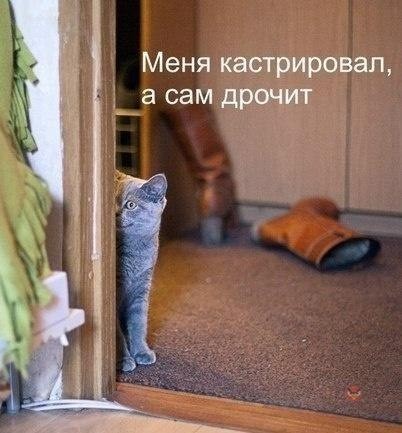 Картинки всякие и аморальные - 17
