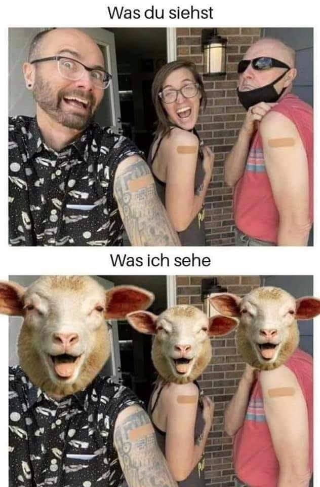 Так себе коронавирусные и не только картинки из Германии, часть 2