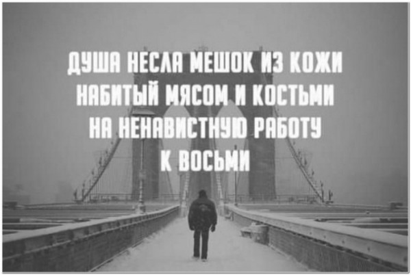 Баянисто-небаянистый юмор 14.02.22